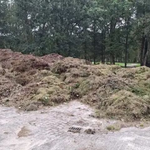 261010140702 02 Grashoop.webp - Eindelijk herfstweer - De Oosterhoutse